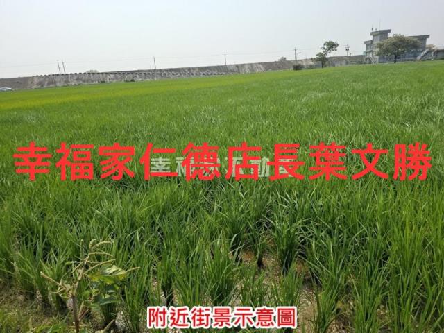 台南西港農地-10