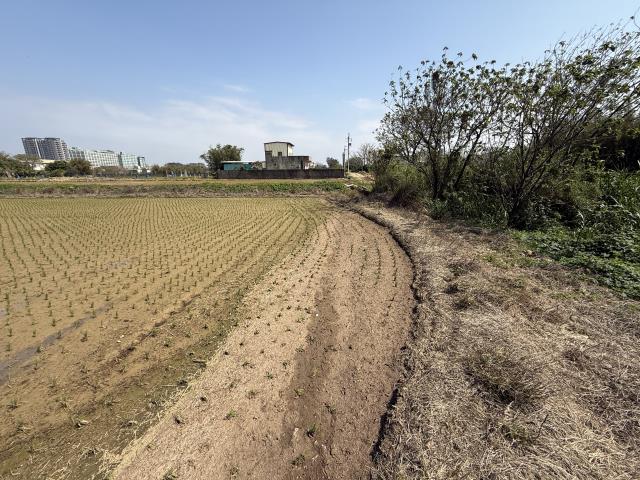 桃園新屋農地-1