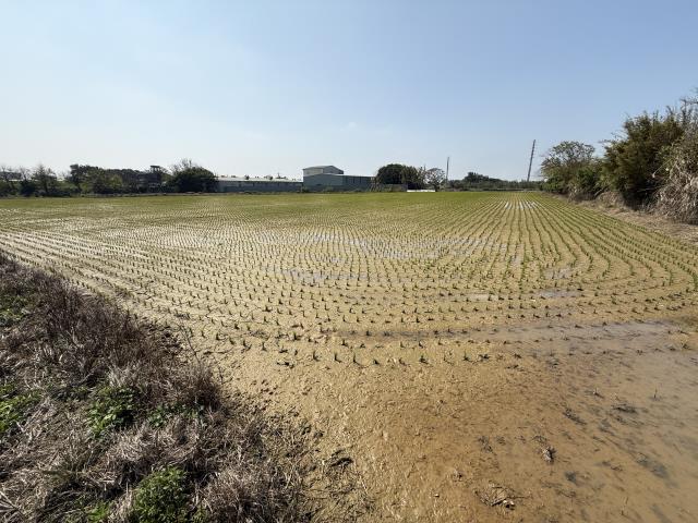 桃園新屋農地-3