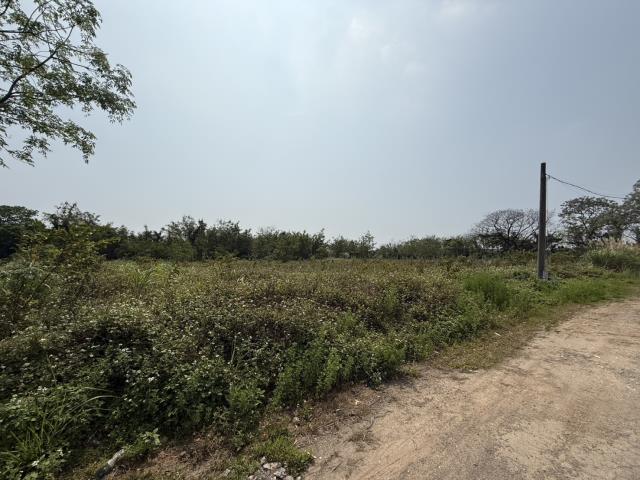 桃園八德農地-5