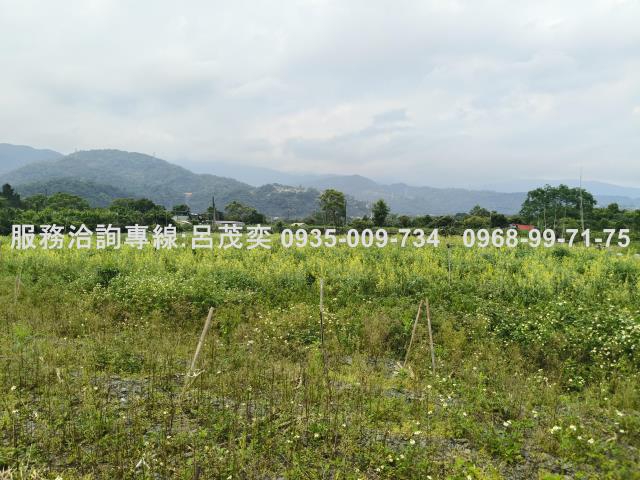 宜蘭礁溪農地-12