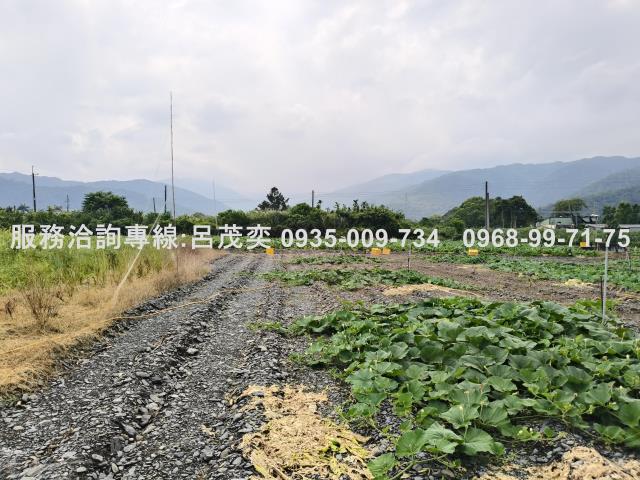 宜蘭礁溪農地-13