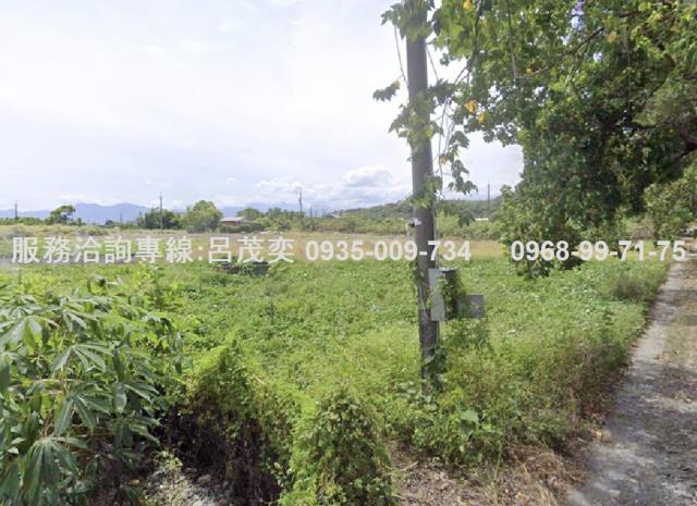 宜蘭礁溪農地-6