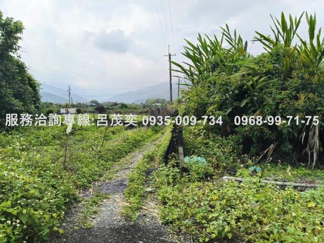 宜蘭礁溪農地-9