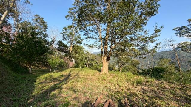 新竹北埔農地-8