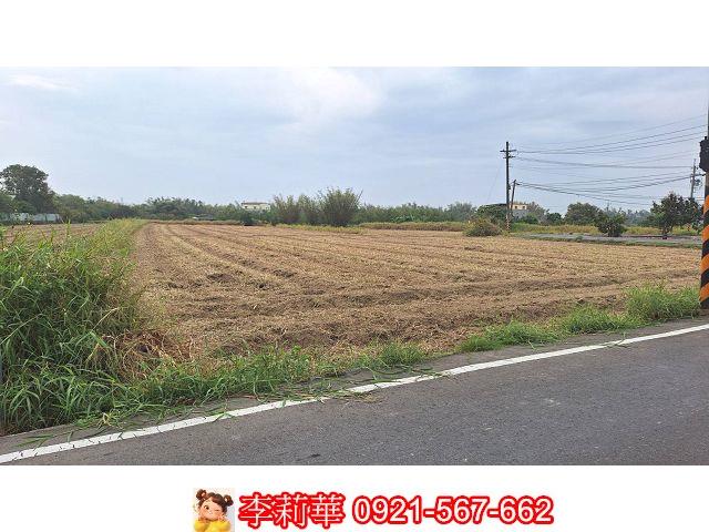 關廟農地-0