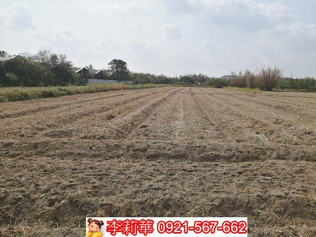 關廟農地-1