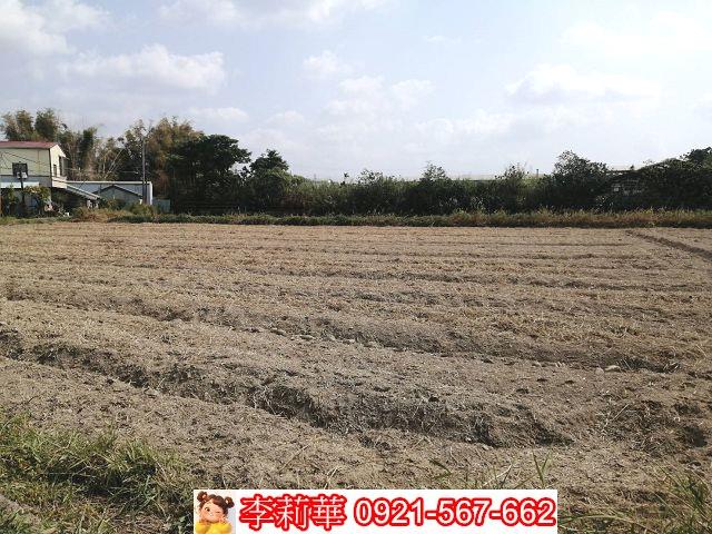 關廟農地-2