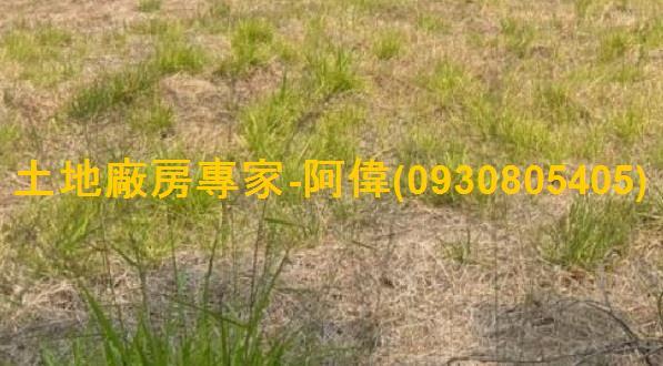 大樹農地-0