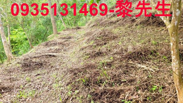 農地山坡地休閒地景觀地小坪數農地露營地農舍資材