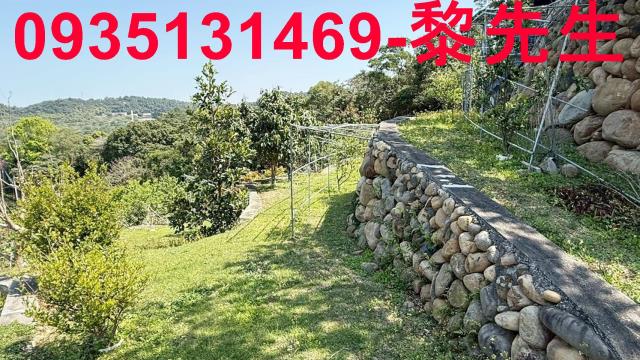 新竹關西農地-5