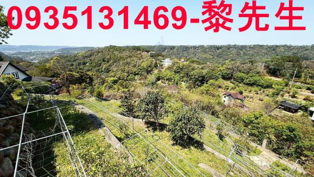 新竹關西農地-0