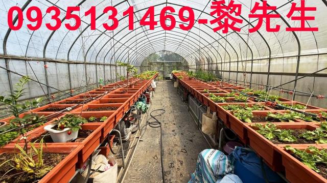 新竹關西農地-3