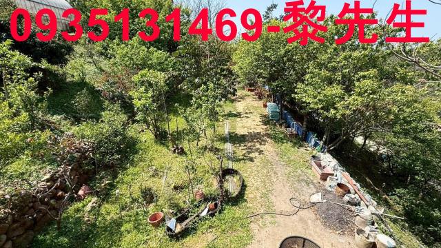 新竹關西農地-5