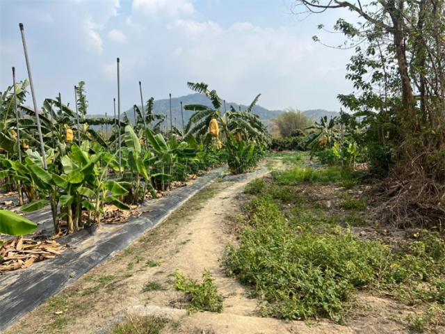 高雄美濃農地-7