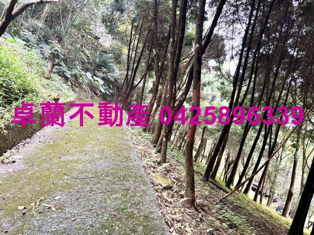 卓蘭農地-9