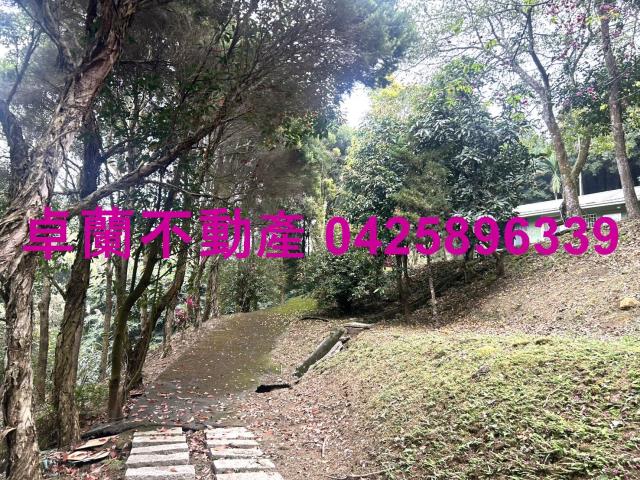 卓蘭農地-12