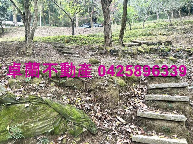 卓蘭農地-13