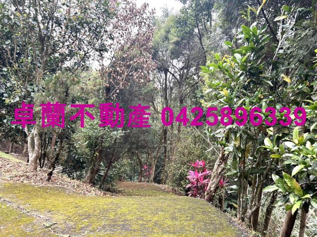卓蘭農地-2