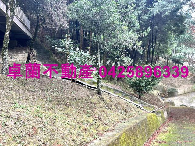 卓蘭農地-5