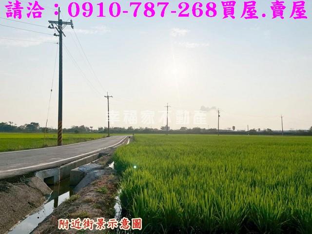 官田農地-11