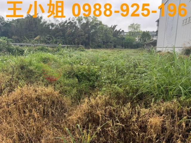 八德農地-9