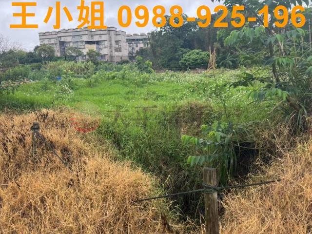 八德農地-10