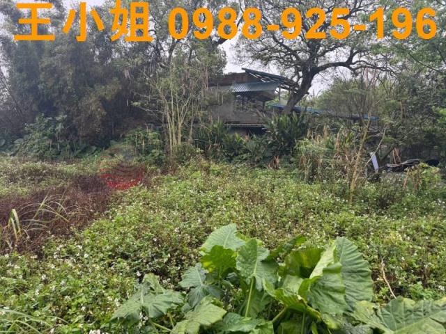 八德農地-12