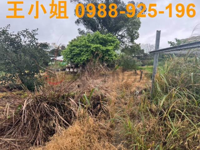 八德農地-13