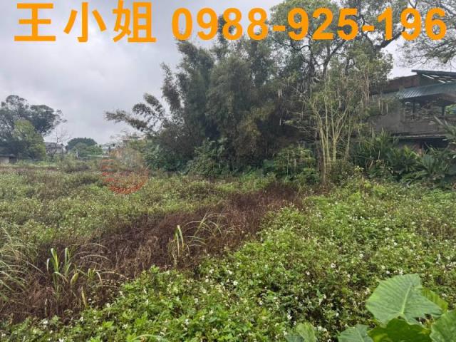 八德農地-14
