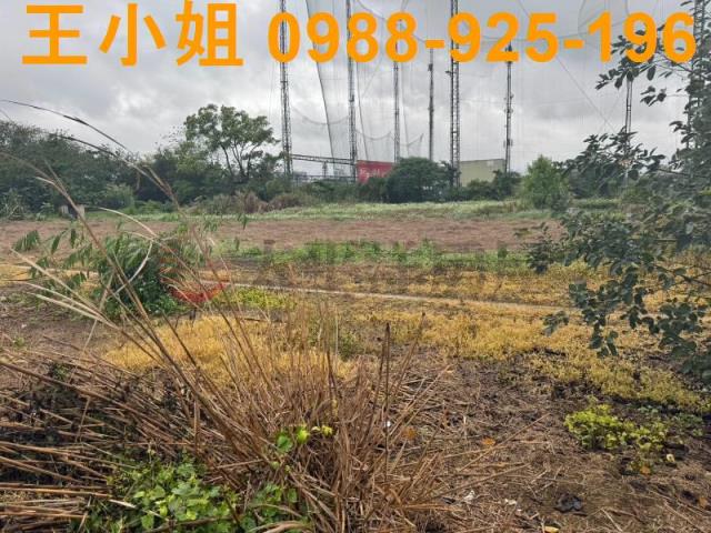 八德農地-4