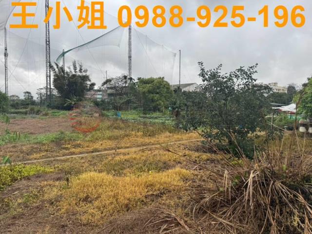 八德農地-5