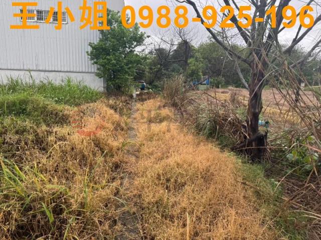 八德農地-7