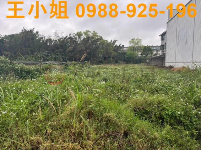 八德農地-8