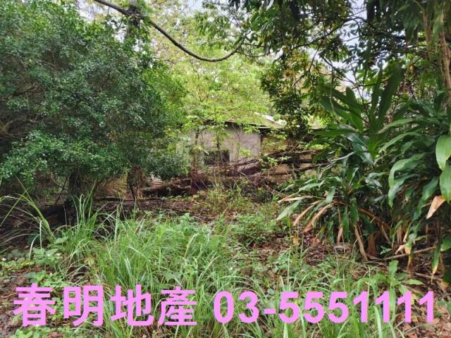 香山農地-11