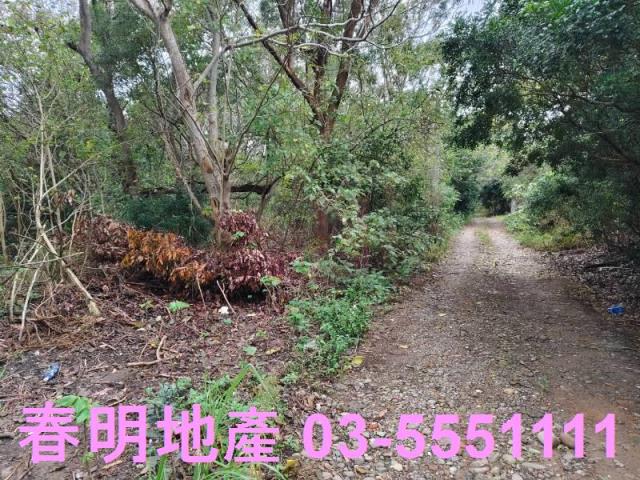 香山農地-12