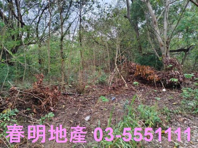 香山農地-13