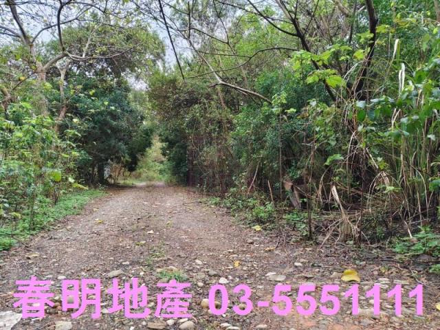 香山農地-14