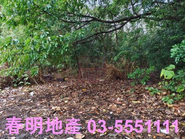 香山農地-1