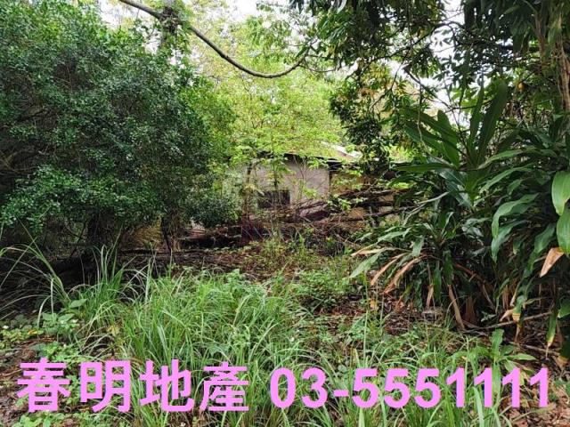 香山農地-2