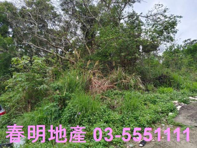香山農地-3