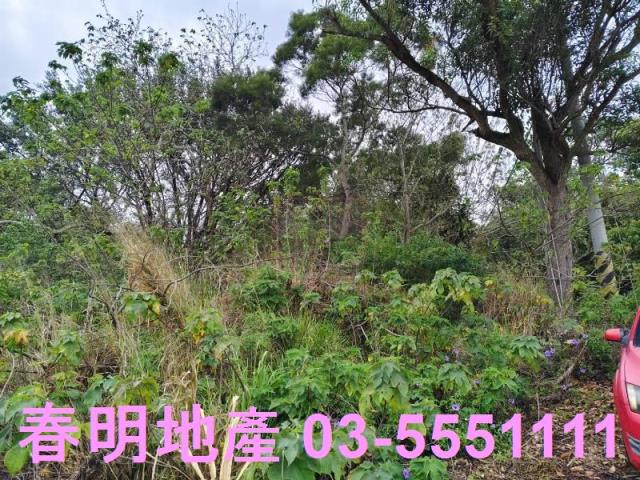 香山農地-4