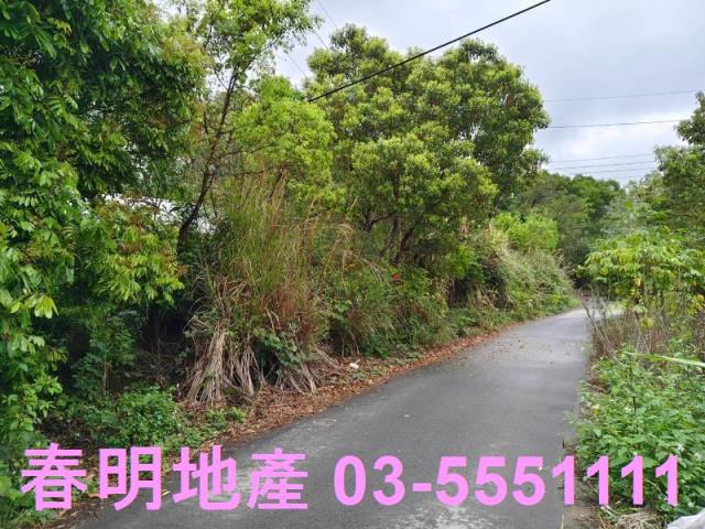 香山農地-5