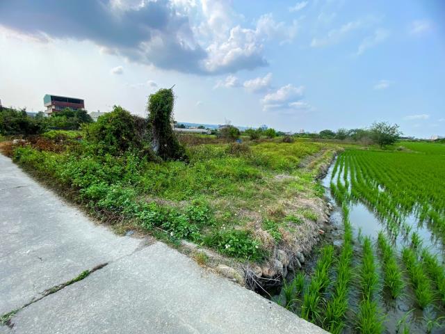 名間大廈巷茶園2分5