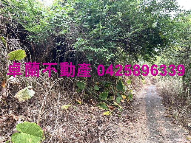 苗栗農地-3