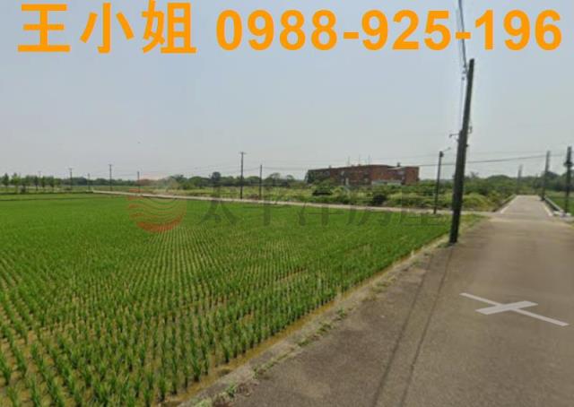 桃園農地-6
