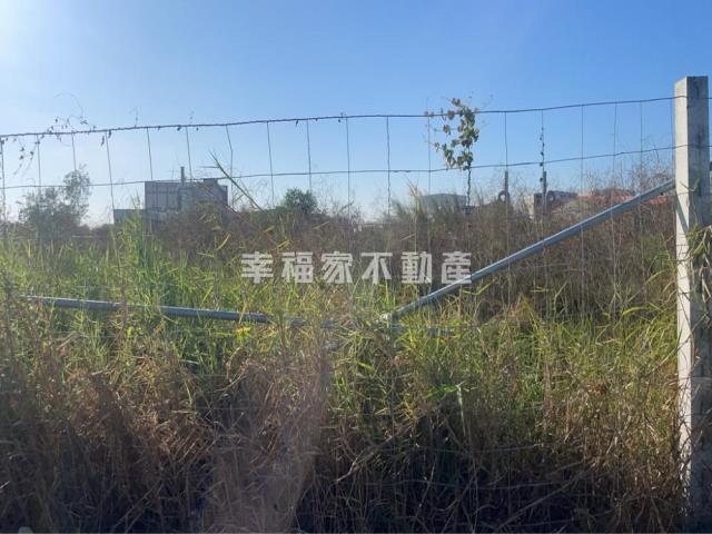 麻豆工業地-3