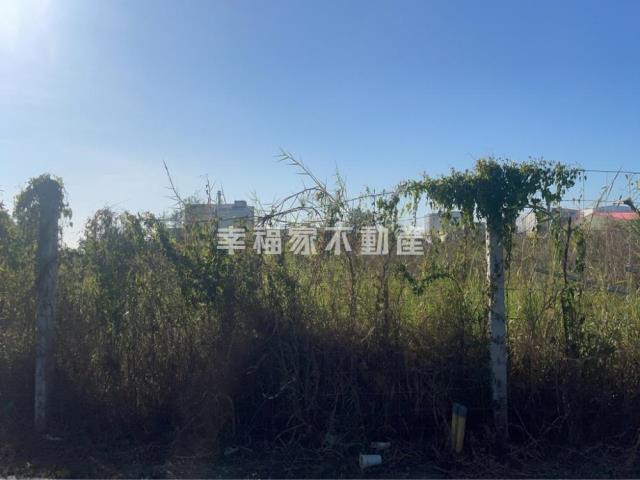 麻豆工業地-4