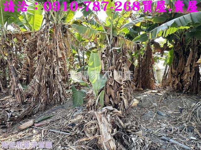 玉井工業地-3