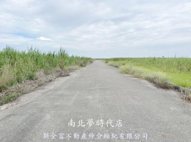 安南農地-4